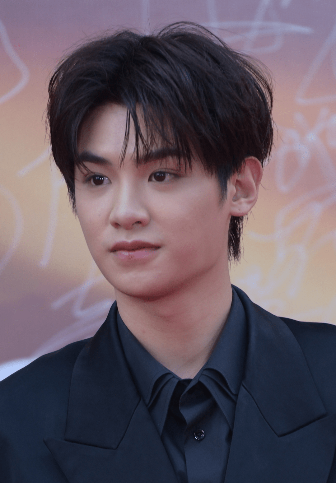 华表奖男星怼脸生图:遍地是普男,苏有朋韩庚发福,王一博脸肿_状态