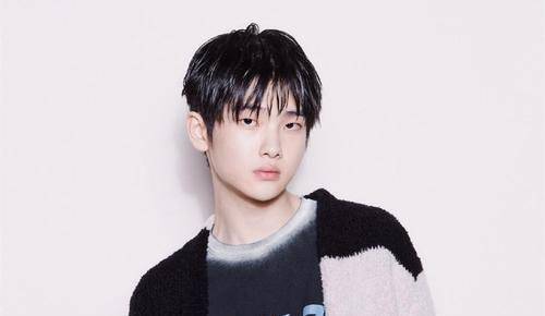 演艺事业_行程_价值