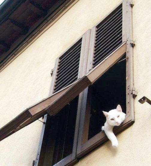 朋友_媳妇_电话