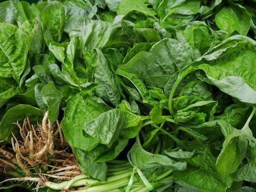 蒸野菜时,先拌点植物油再撒面粉,这样蒸出来的菜散松又鲜亮!
