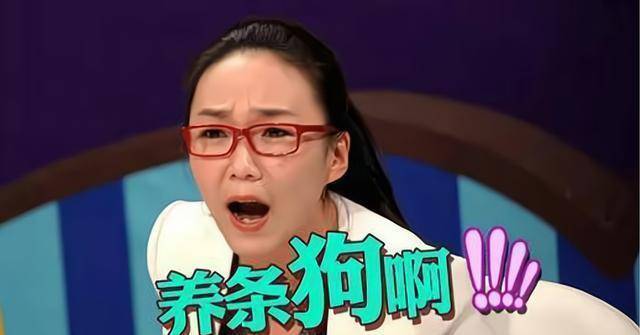 挺进《奇葩说》2强,成为最强新人选手,小鹿的核心优势在哪?