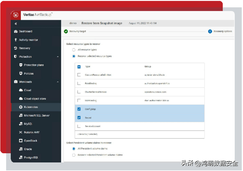 Veritas InfoScale/Netbackup:保护容器化应用和 Kubernetes 环境_管理_方案_企业