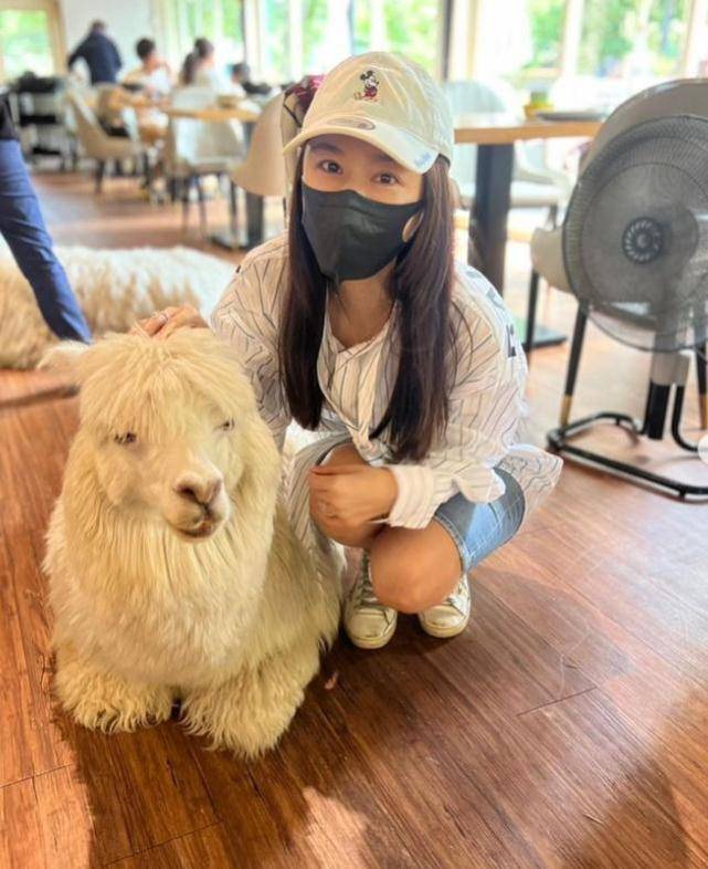 林心如晒乖巧照片,和羊驼一起合影,侯佩岑跟着开心围观_霍建华_台北