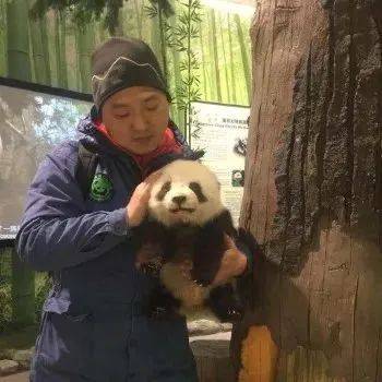 暑假研学 | 国宝守护者大熊猫科考夏令营，招募铲屎官，领取3张证书和科考报告