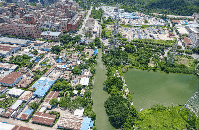 東莞虎門全面推行