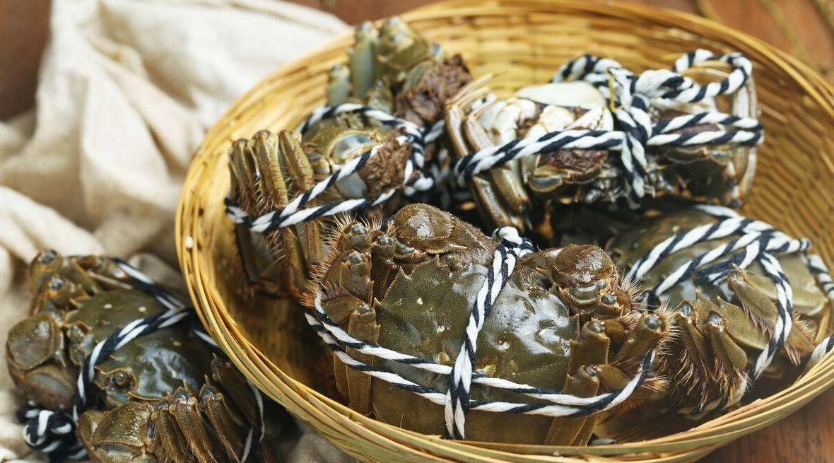 蟹农:生螃蟹冰箱冷藏,熟螃蟹别隔夜