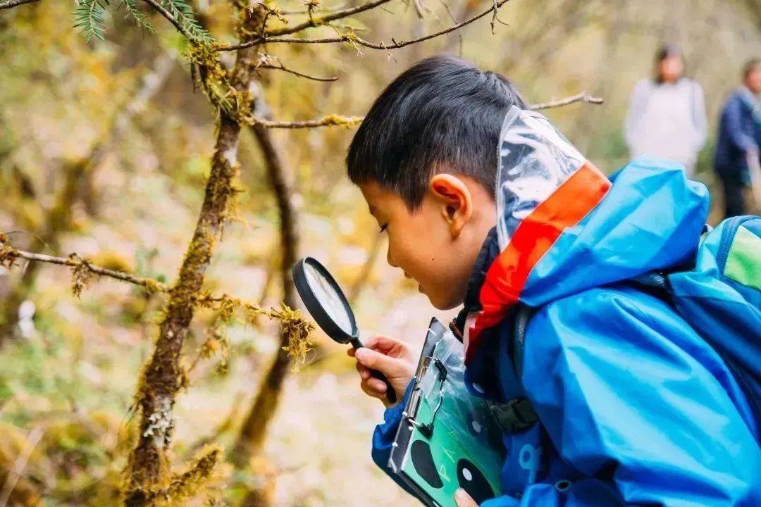暑假研学 | 国宝守护者大熊猫科考夏令营，招募铲屎官，领取3张证书和科考报告