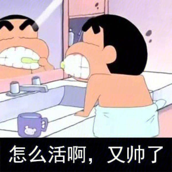 聊天斗图恶搞专用表情包 静态动态搞笑蜡笔小新表情图片素材_人们