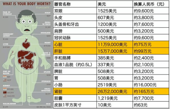 人体器官黑市电话图片