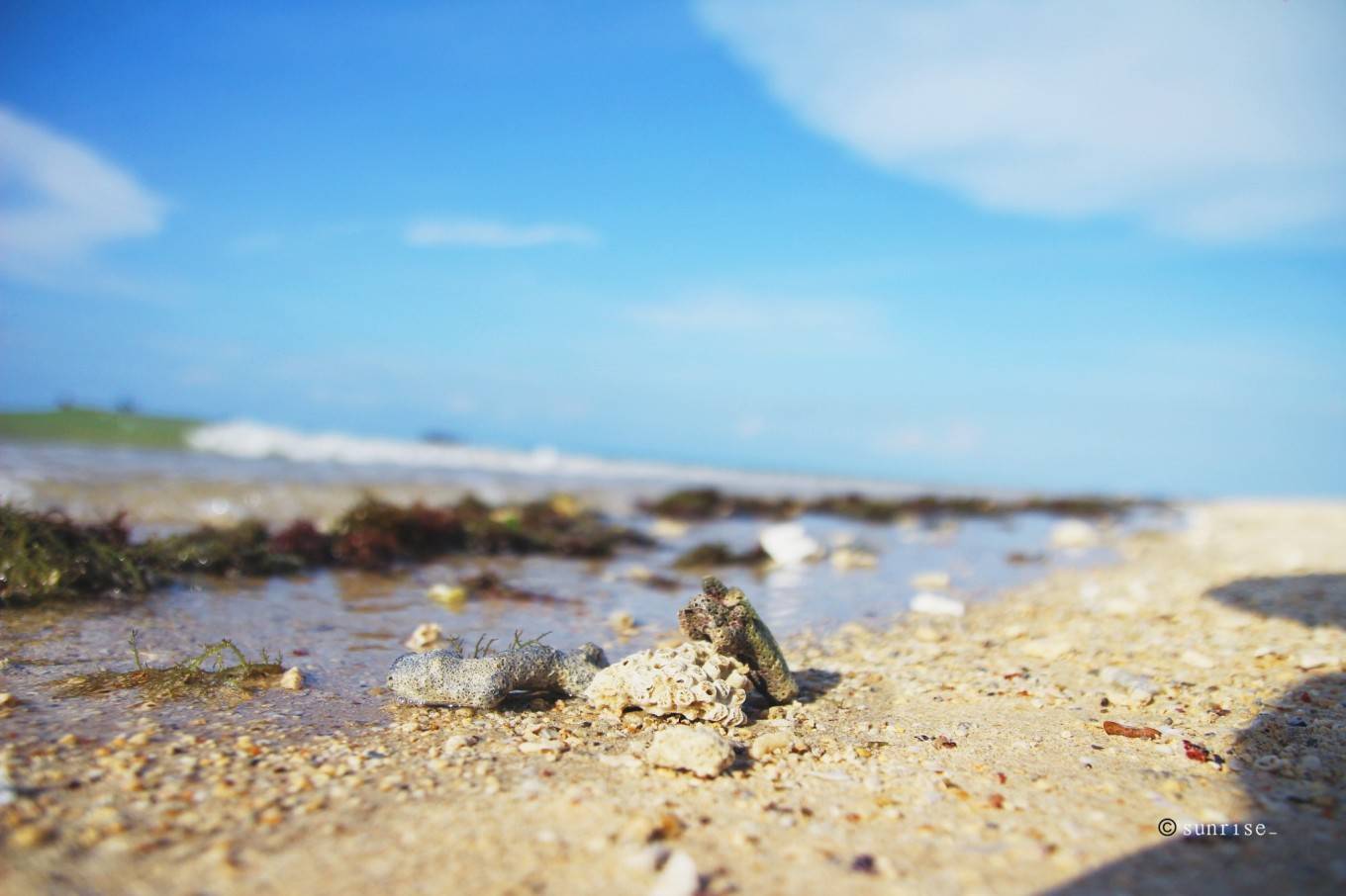 涠洲岛贝壳海滩图片