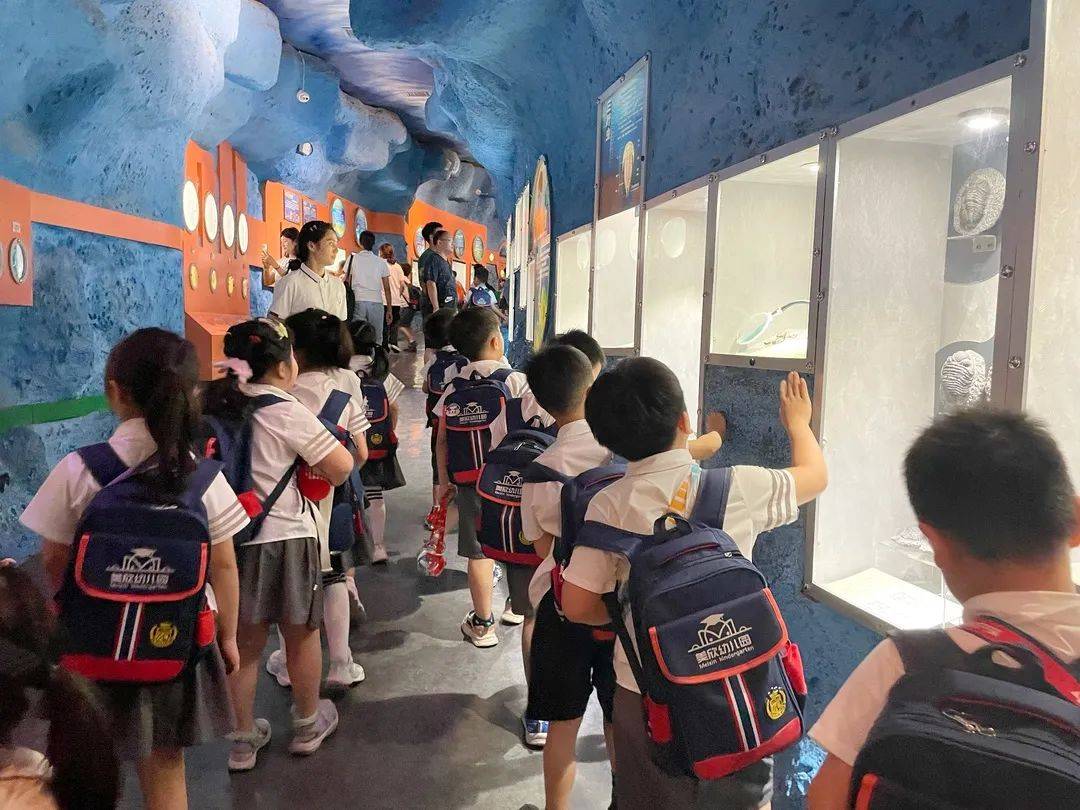 触摸自然脉搏,感悟生命真谛——晨钟实验幼儿园河南省自然博物馆研学