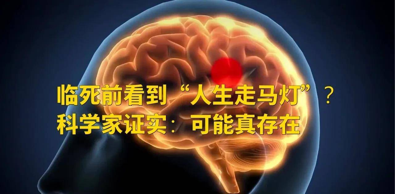 重大發現:人臨傷時竟能看到