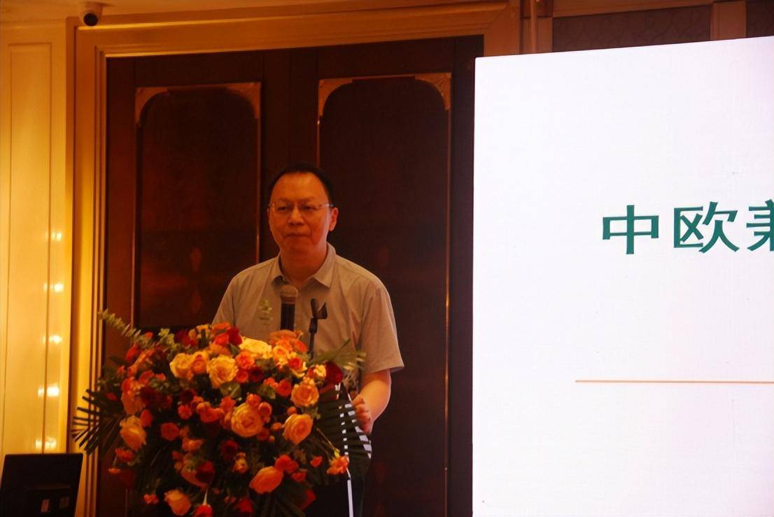 四川大学碳中和未来技术学院王洪涛教授作"中欧一致性纸及纸制品全