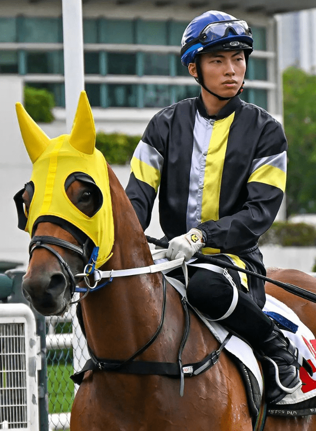 香港赛马会即日起至7月底招募赛事见习学员_测试_训练_课程