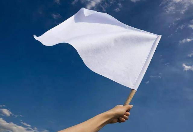 法国国旗白旗梗图片