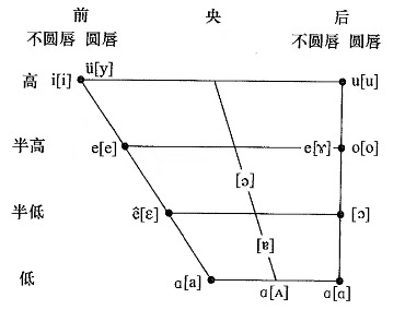 舌面元音e图片