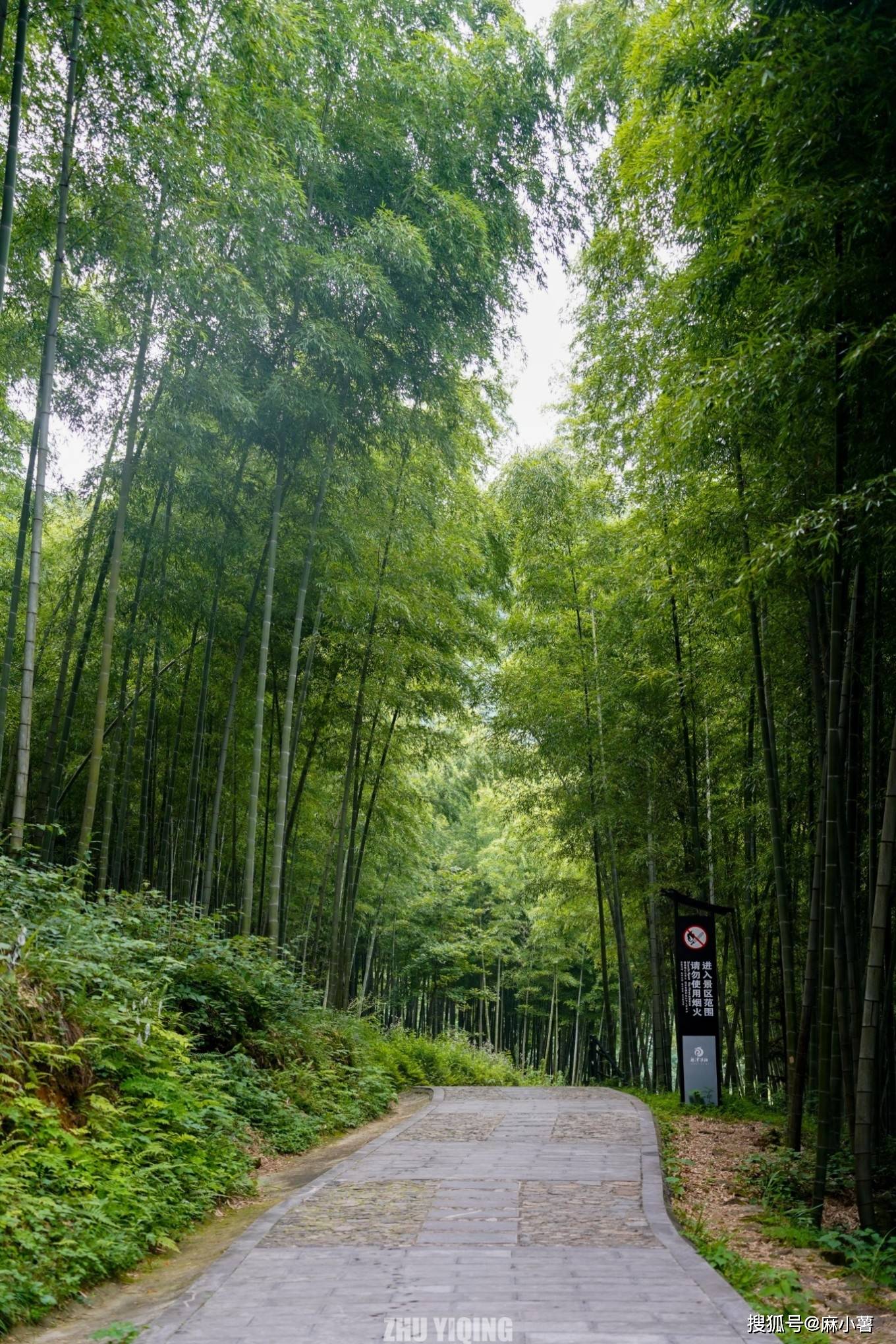 这里有很多网红体验项目,横跨两山的7d玻璃吊桥,千米玻璃漂流,给这个