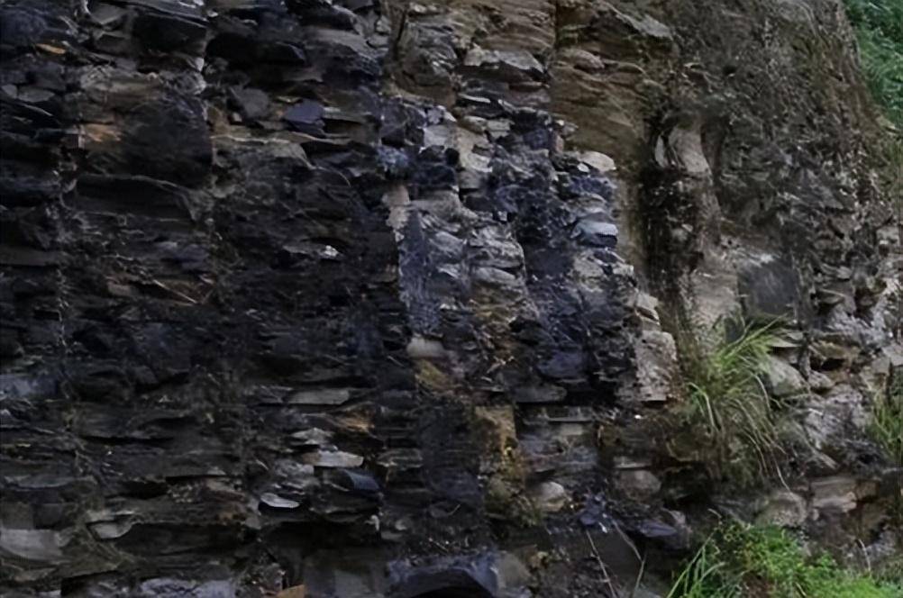 来自波兰南部中侏罗纪浅海演替的近岸侵入性黑色页岩_粘土_生物_特征