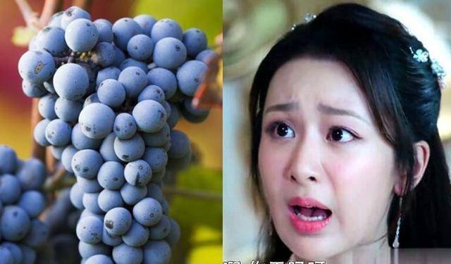 杨紫化身小葡萄,魏璎珞撞脸表情包,朱一龙吃芒果调侃白宇!