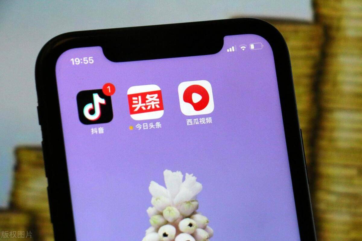 抖店和抖音小店区别_抖店和抖音小店的区别_抖音小店和店铺的区别