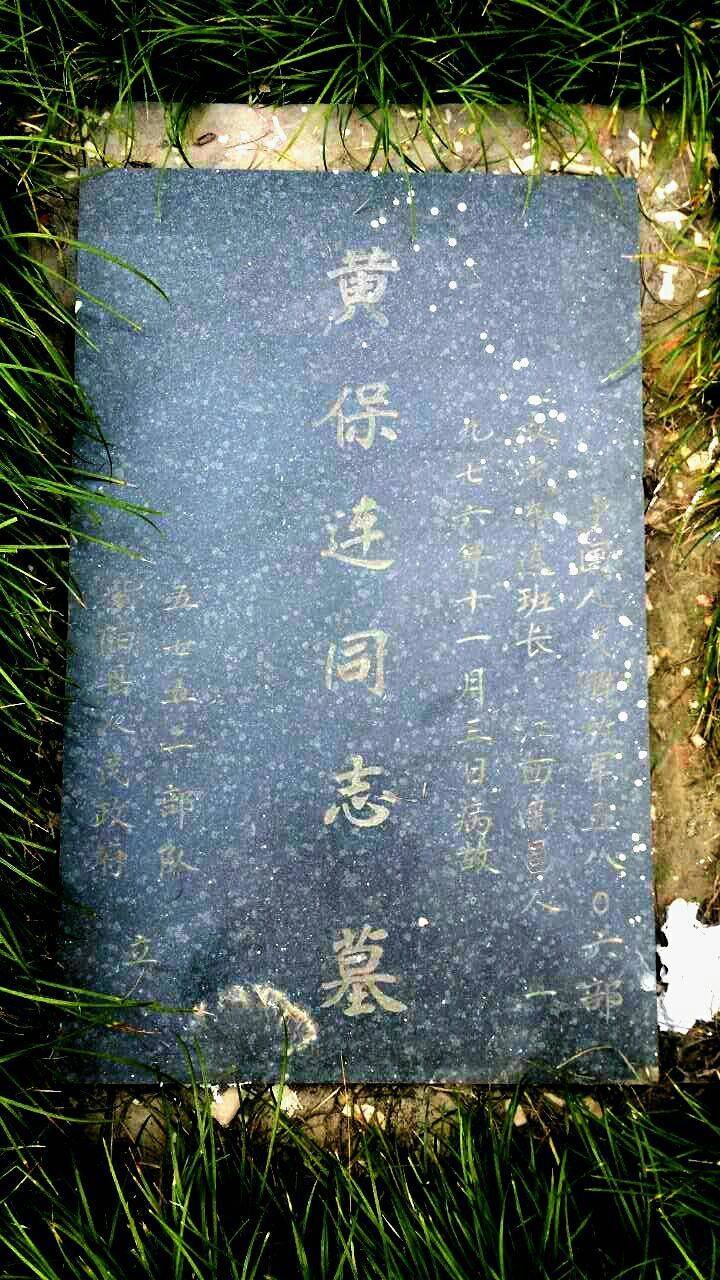 ▼纪念碑下的基础上,刻着铁道兵修建襄渝铁路的浮雕▼向烈士致哀00:00