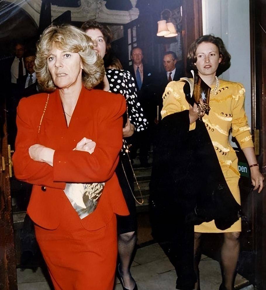 赢得了金枝玉叶的安妮,赢得了戴安娜的漂亮_查尔斯_安德鲁_女王