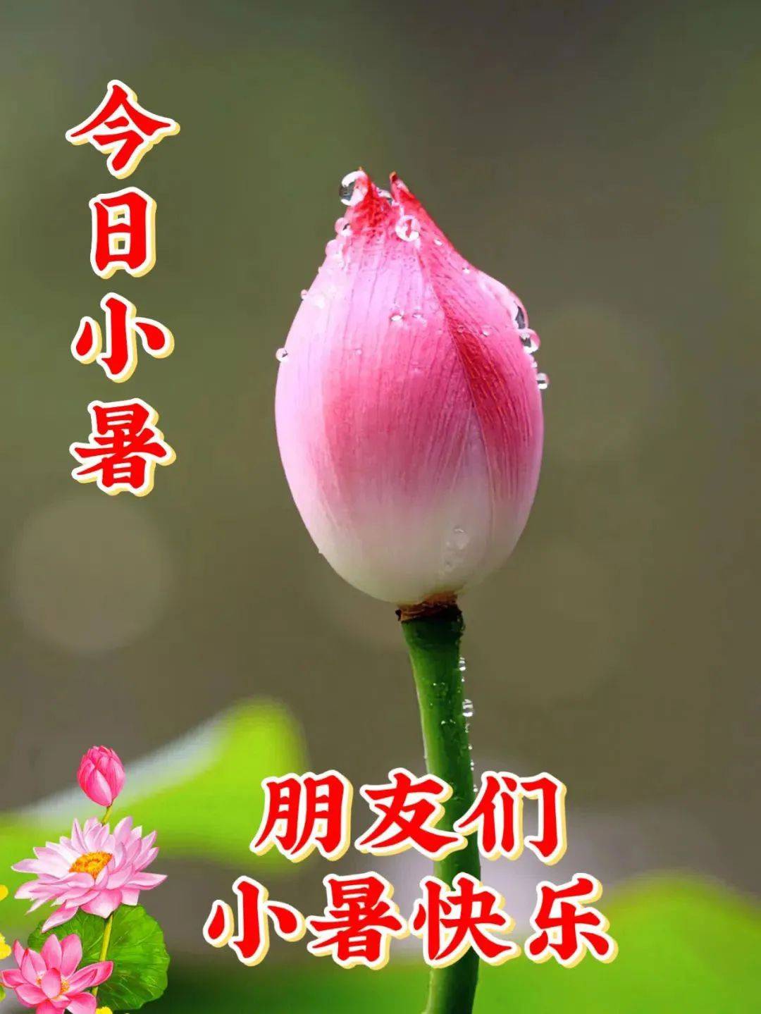 小暑早上好问候祝福图片_心情_开心_味道