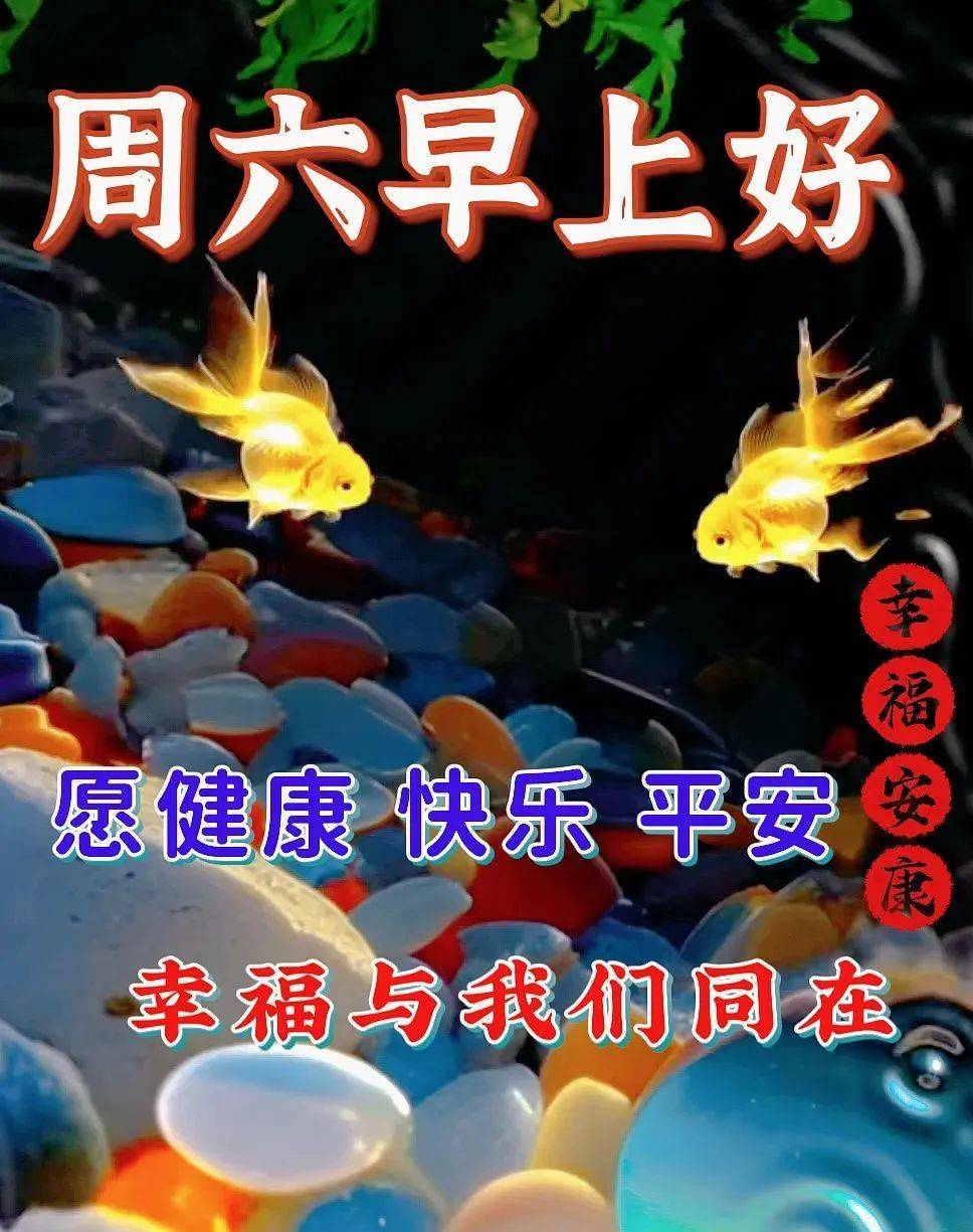 7月8日周六早上好,清晨漂亮好看祝福语图片_时刻_生活_阳光