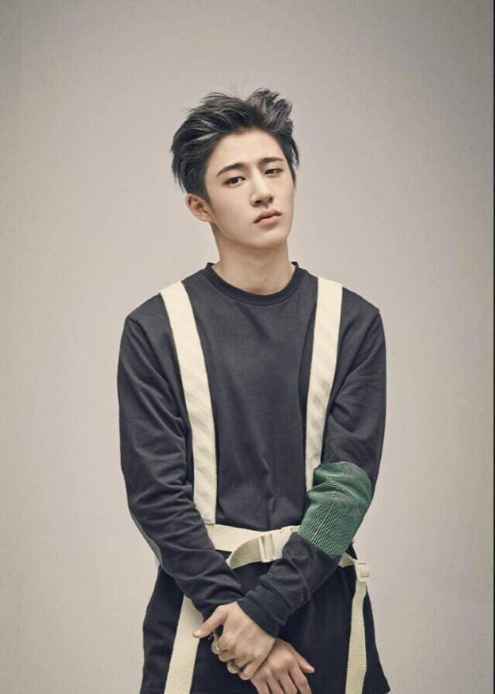 杨菊花哭晕在厕所…前段时间,yg艺人李胜利搞出的一系列幺蛾子好不