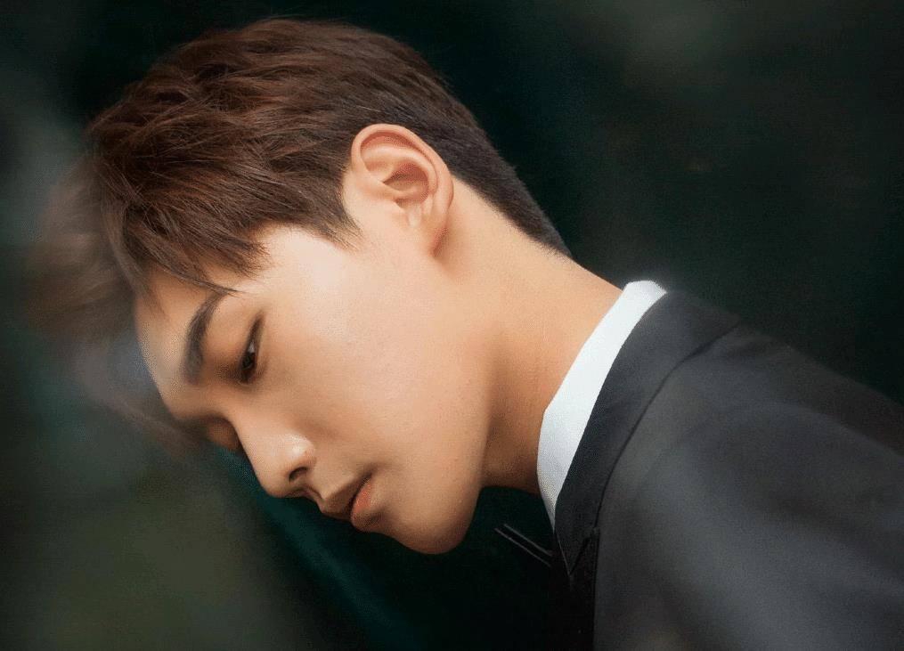 邢昭林的脸很耐看,越看越有味道,但网友对此评价两极分化很严重_杨洋