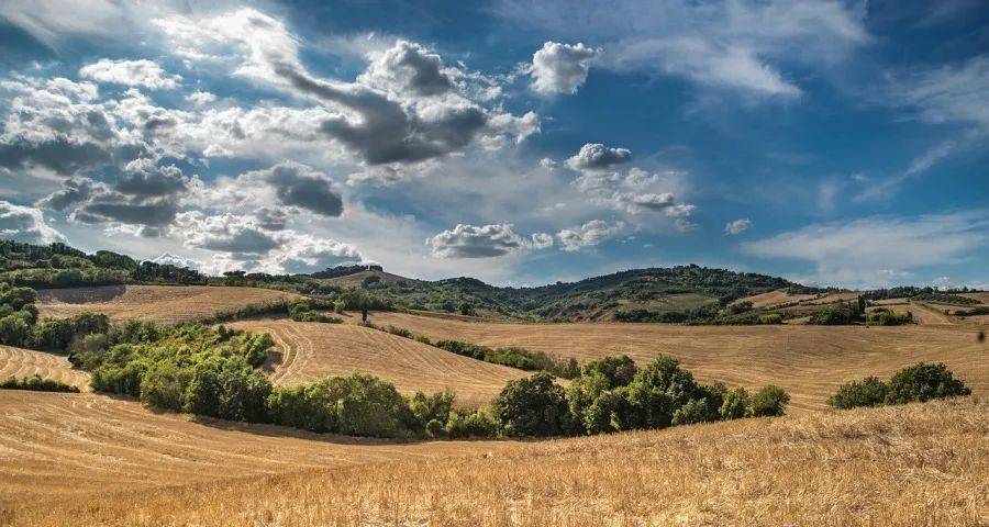 谁抢到了国美苏宁让出来的市场？-家电圈官网