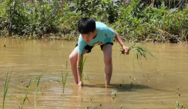 杨威将培养儿子成为下一位好爸爸,晒儿女合照杨阳洋显得高大魁梧_妹妹