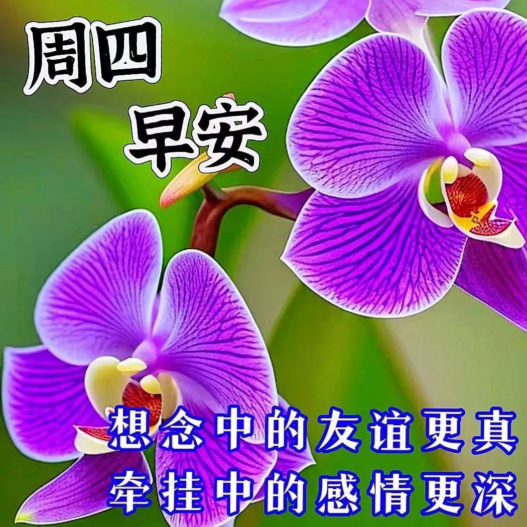 7月13日周四早上好,祝福语图片带字问候语