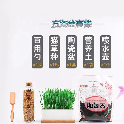 没有猫草的喵生是不完美的,教你如何种植一片猫草! 没有猫草的喵生是不完美的,教你如何种植一片猫草!