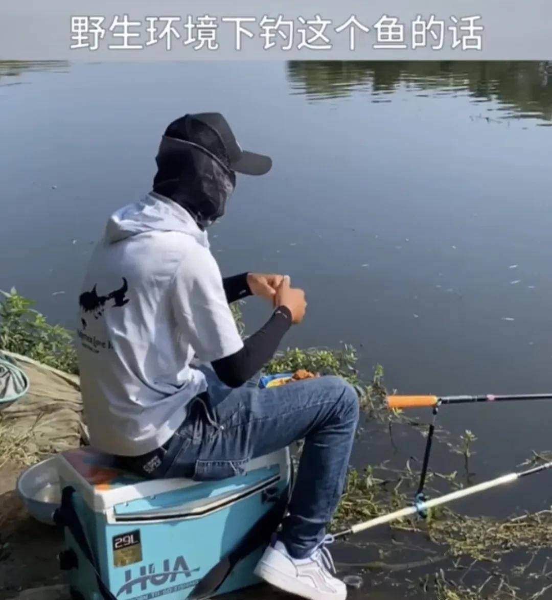 一分钟回顾化氏小惠的自媒体成名之路_视频_钓友_战队