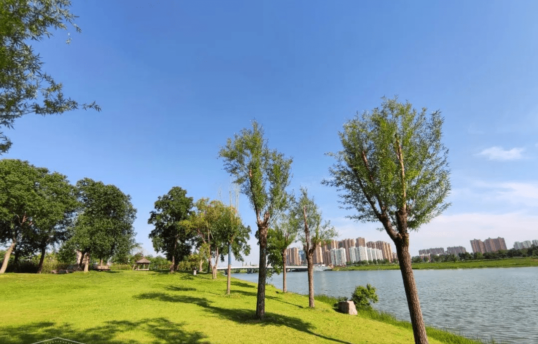 吴家山商业,教育,医疗等公共配套评测_武汉_空港_广场