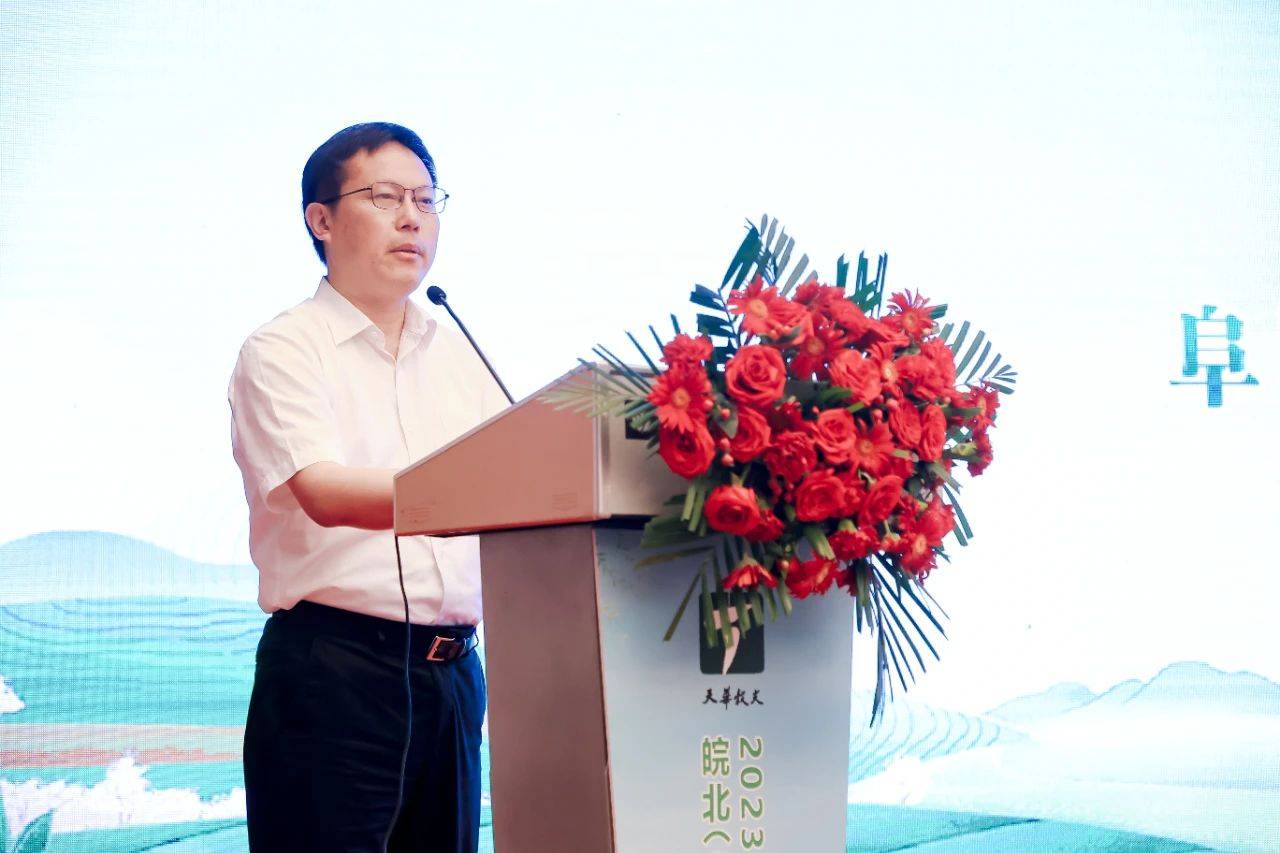 太湖县茶文旅推介会走进阜阳,合力打响朴初故里 太美太湖茶旅品牌