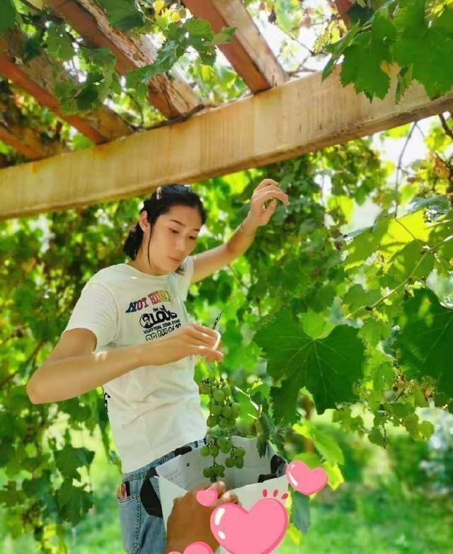 女排国手朱婷最新美照出炉,身着白色t恤眼神专注_训练_中国女排_大赛