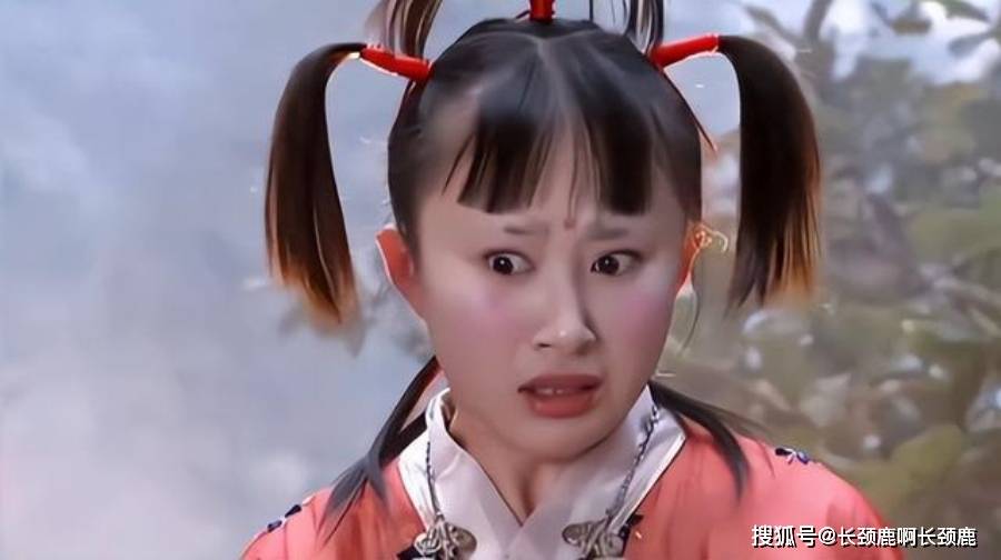 在张纪中的《天龙八部》中饰演天山童姥,在《鹿鼎记》中饰演建宁公主