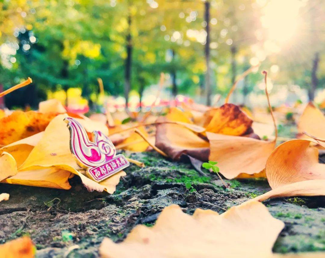 原创            西南石油大学好不好？喜获一等奖，实力当然好！-西南石油大学好不好知乎