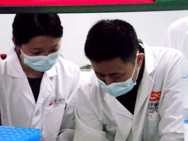 华中农业大学实践团赴武汉影子基因科技有限公司学习交流-华中农业大学2016