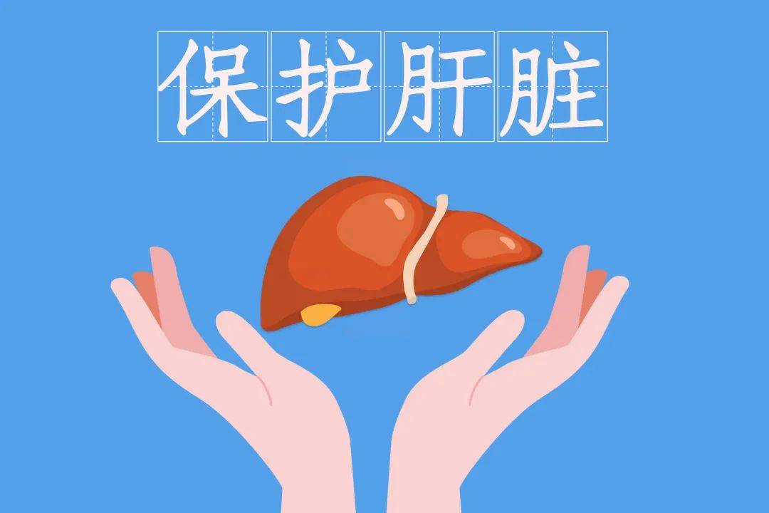 护肝三宝是哪三宝_护肝食物三宝早餐吃什么_护肝食物三宝