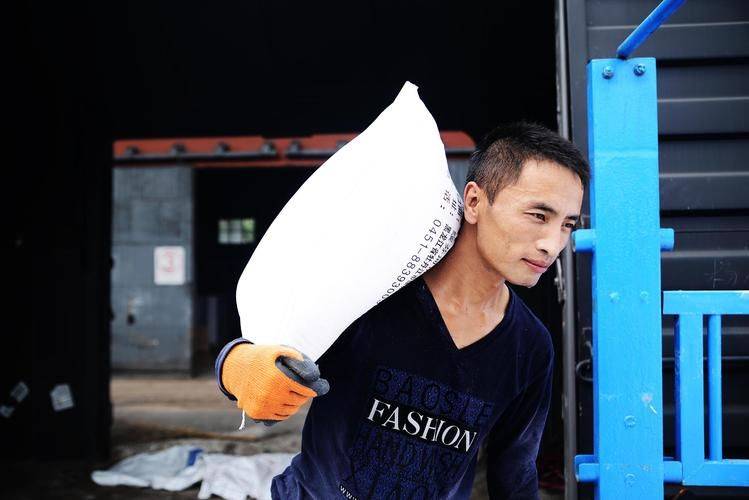 搬运工装卸工日结300到500元 搬运工 装卸工_工作_物品_环境