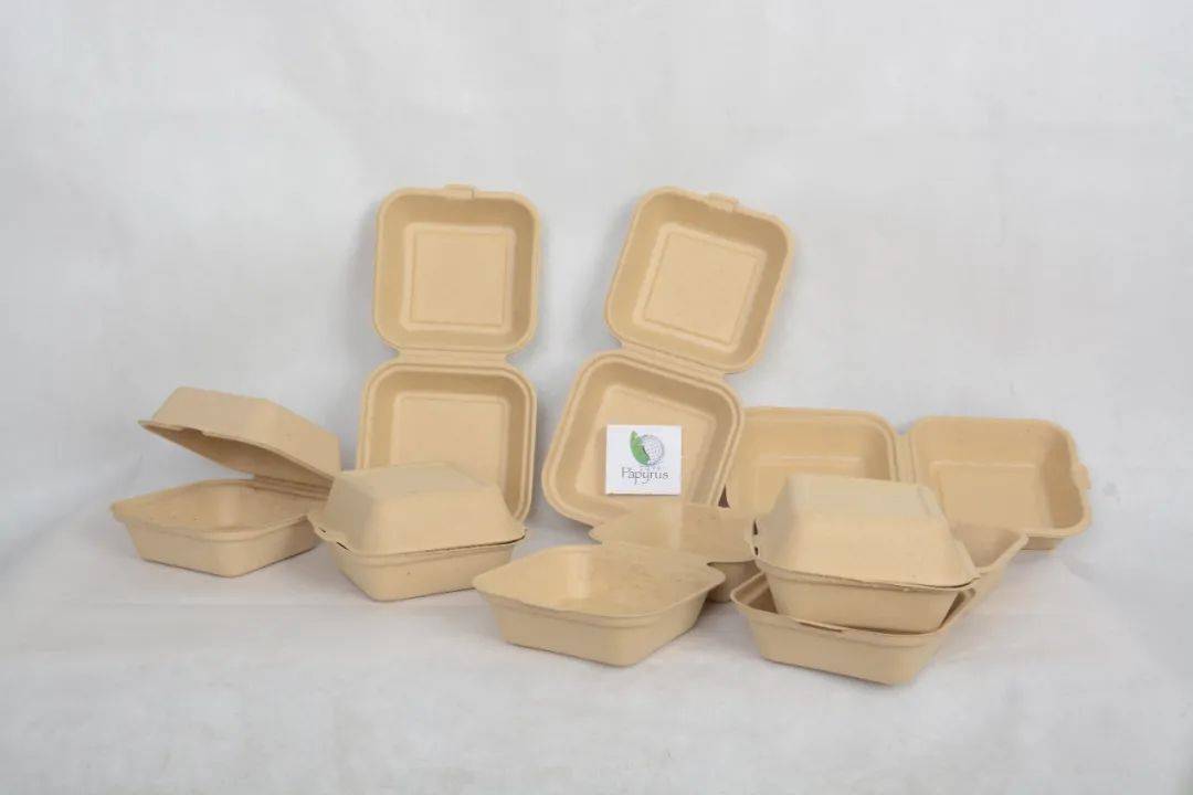 papyrus australia 推出了世界上首个完全基于香蕉纤维的包装制品
