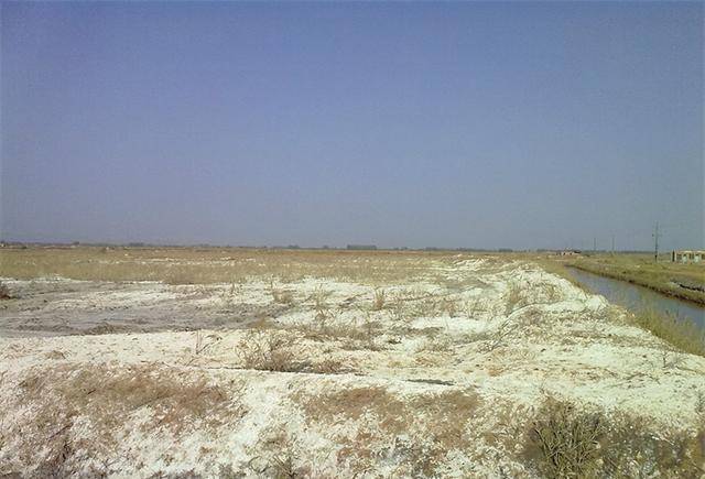 焦裕禄病逝2年后迁坟兰考,十万百姓车站哭迎,下葬时妻撞向棺木_土地