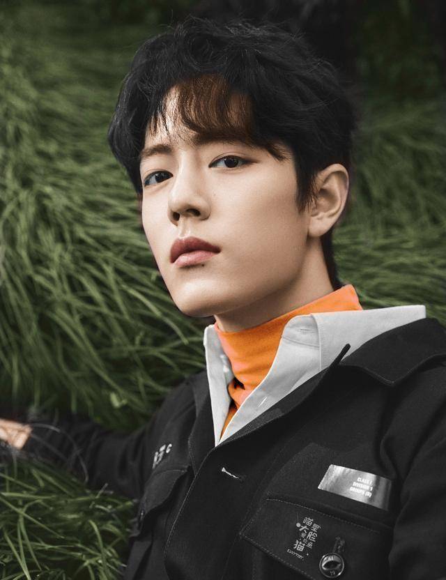 肖战粉丝公益造假,曝光古天乐假捐,造谣者真就无法无天了?