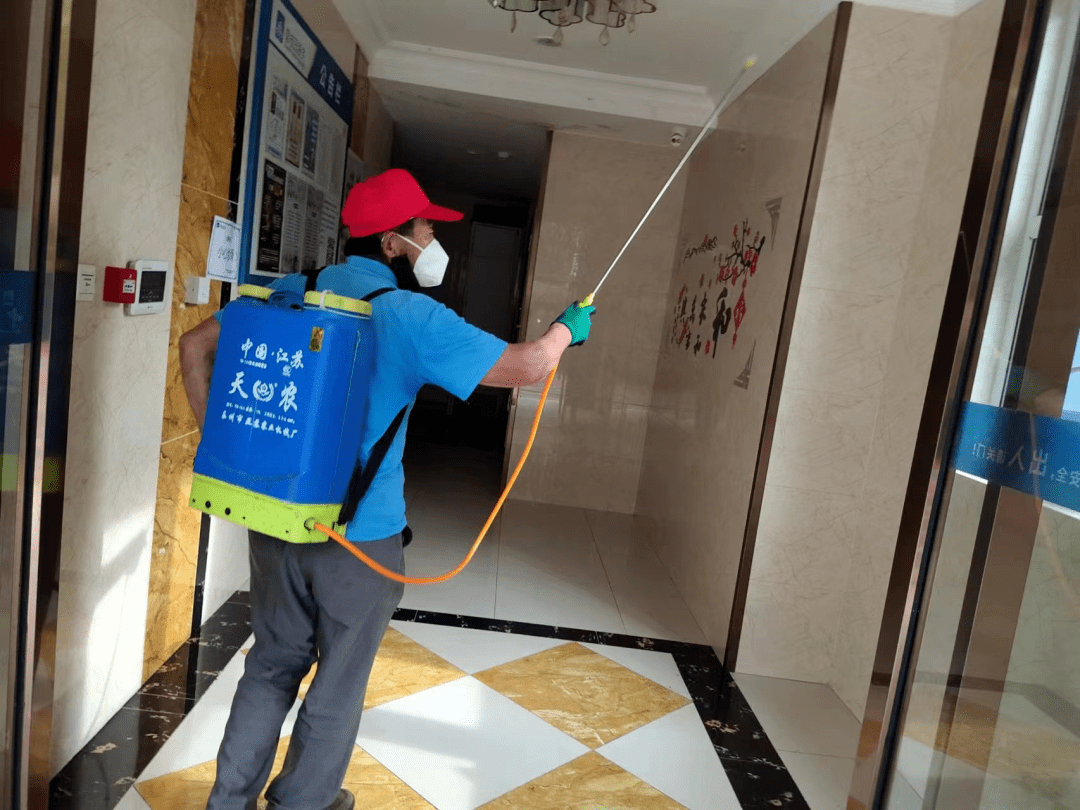 碧桂园物业做对了什么?_业主_服务_小区