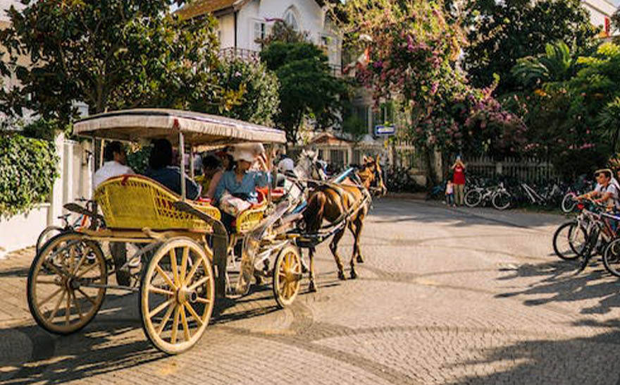华盖,它就是古代豪华马车的宝盖,一般来说样子会比较好看,颜色会比较