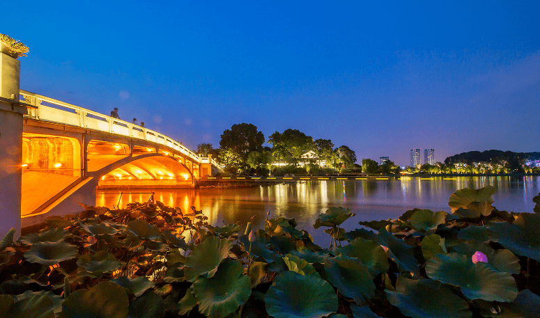 夏天的景色夜晚图片