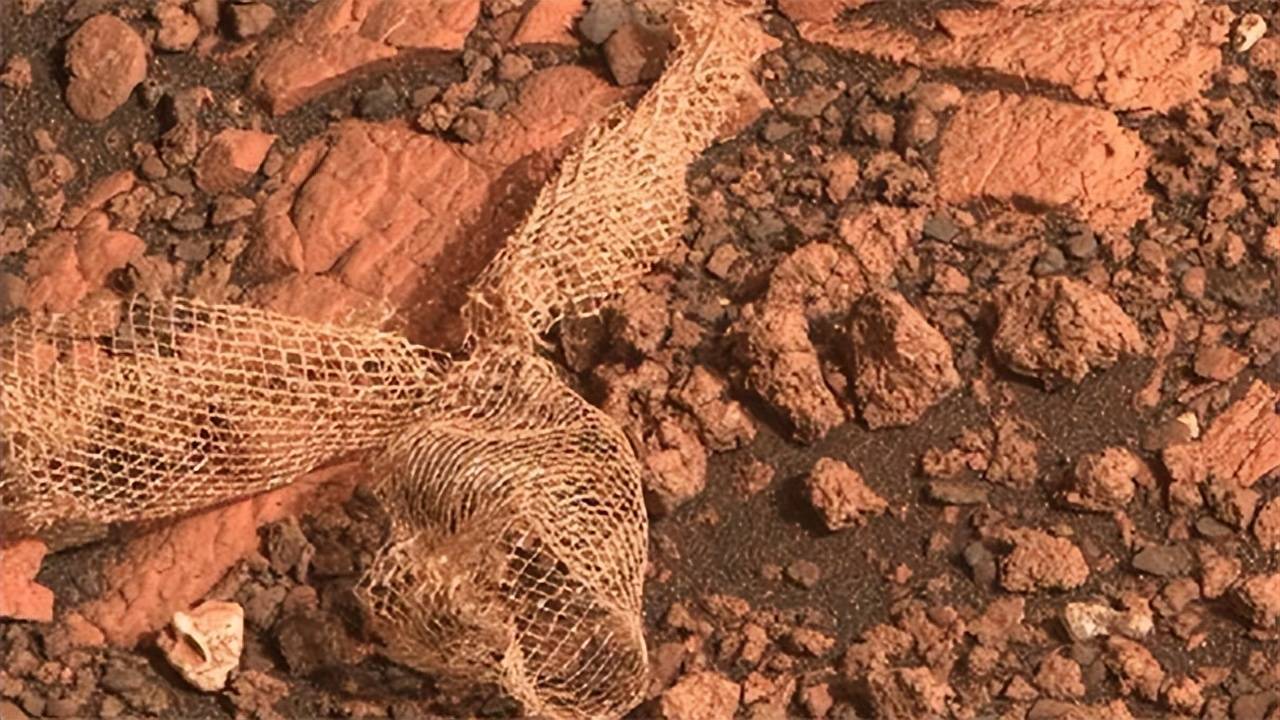 在红色星球上发现了蠕虫和蛇?_生命_零件_宇宙